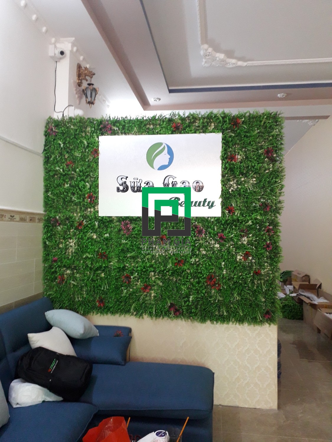 backdrop co dep