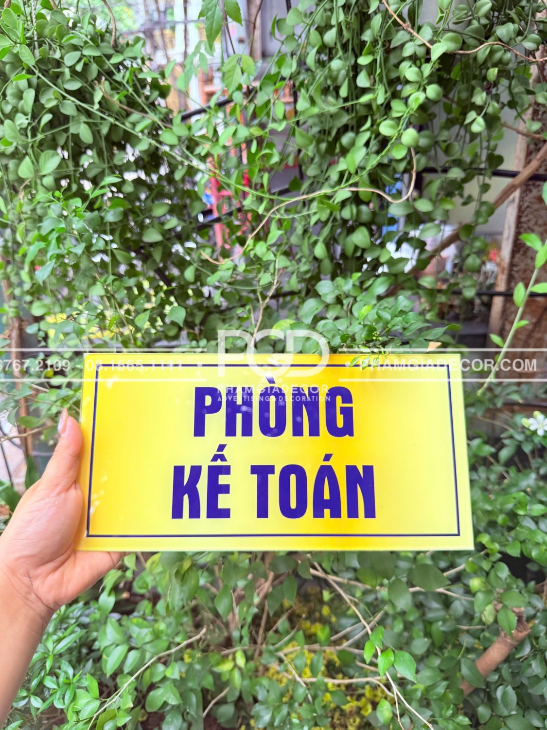 bang ten phong